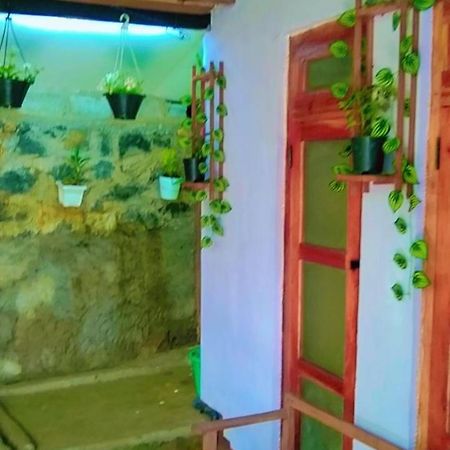 Ella Kumi Hostel Bagian luar foto