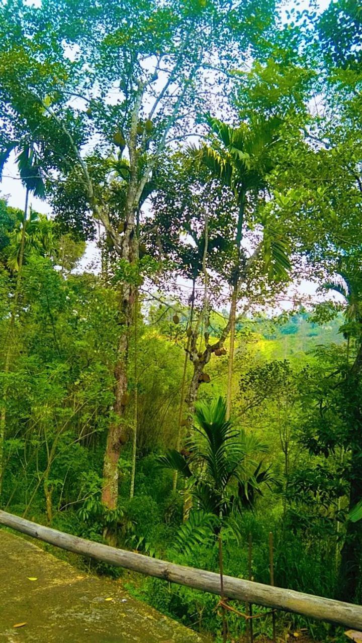 Ella Kumi Hostel Bagian luar foto