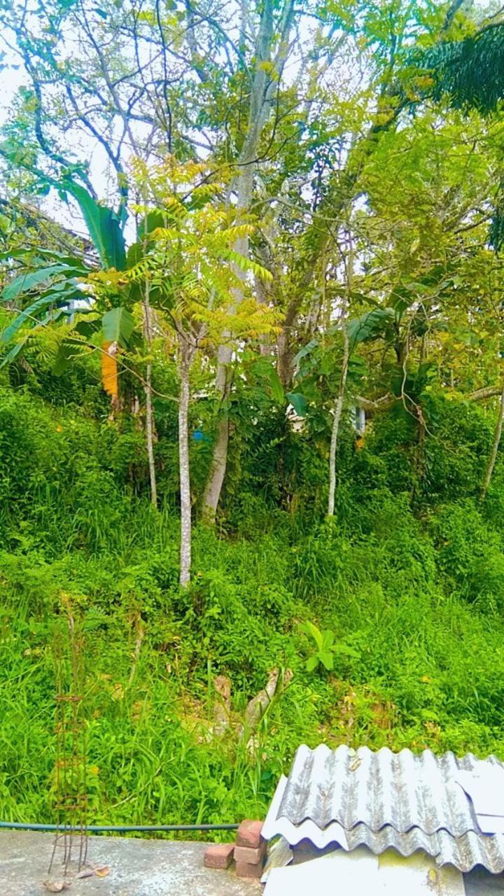 Ella Kumi Hostel Bagian luar foto