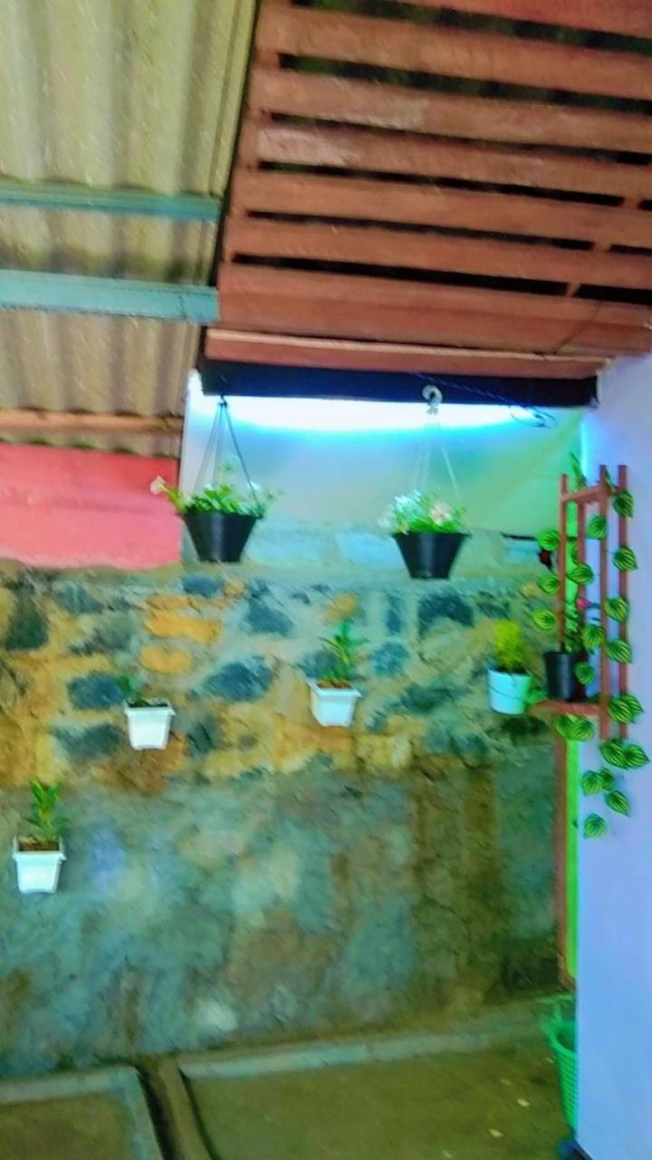 Ella Kumi Hostel Bagian luar foto
