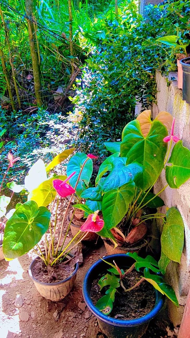Ella Kumi Hostel Bagian luar foto